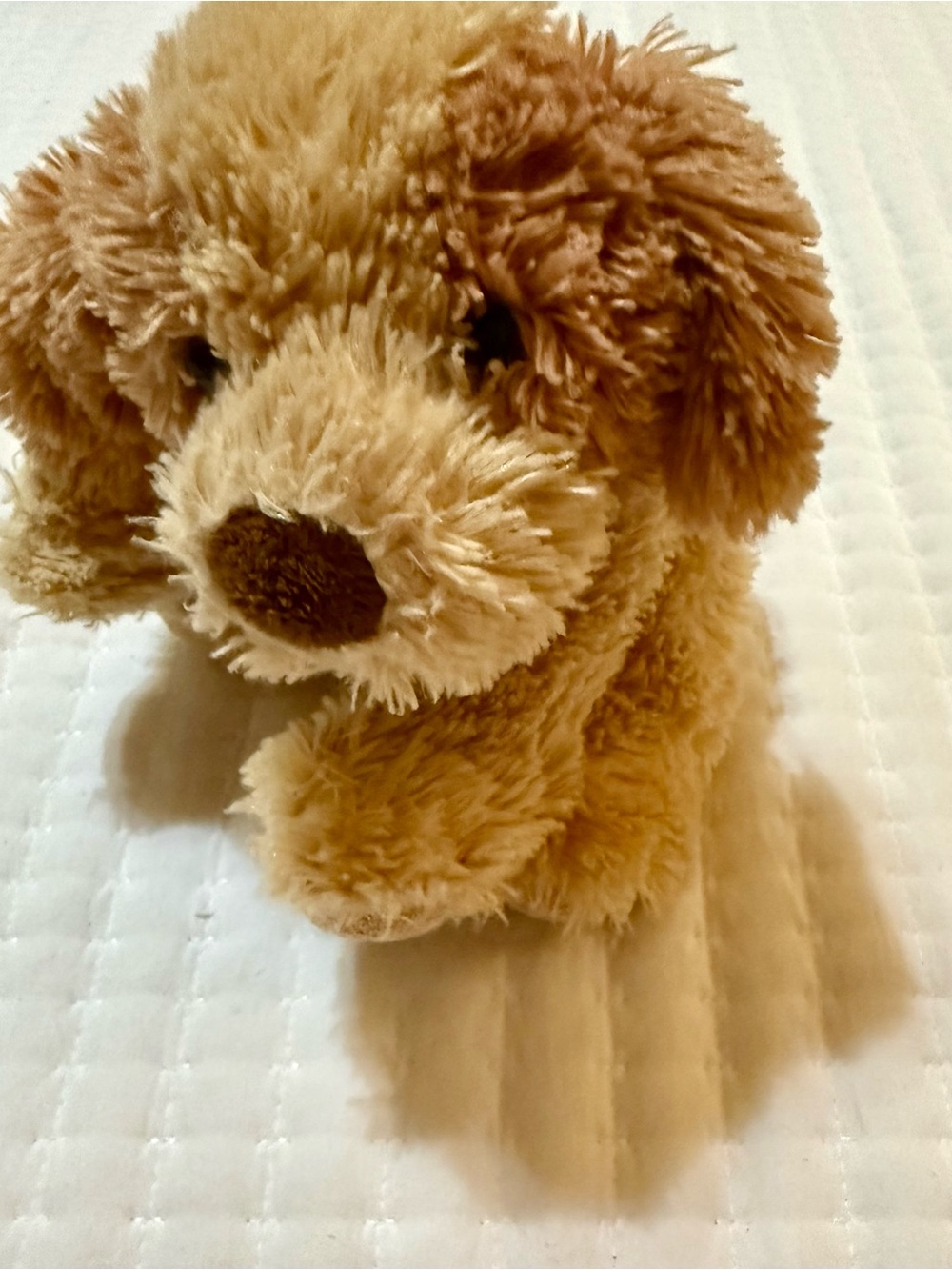 Chelsea Bears Stuffed Puppy